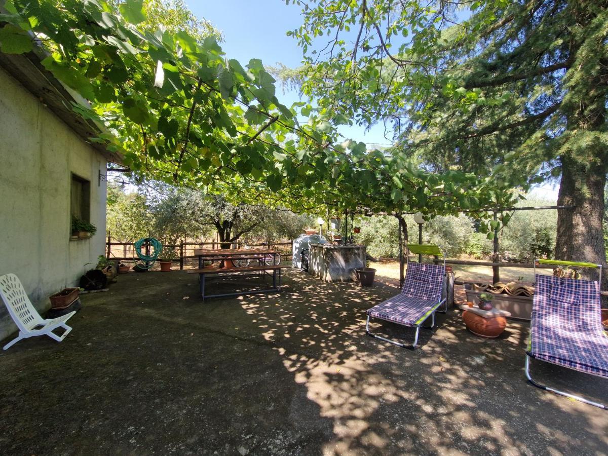La Casa Di Giulia Villa Bronte Dış mekan fotoğraf