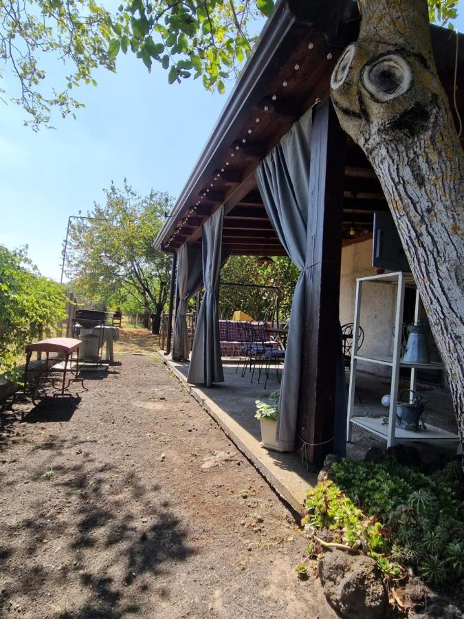 La Casa Di Giulia Villa Bronte Dış mekan fotoğraf