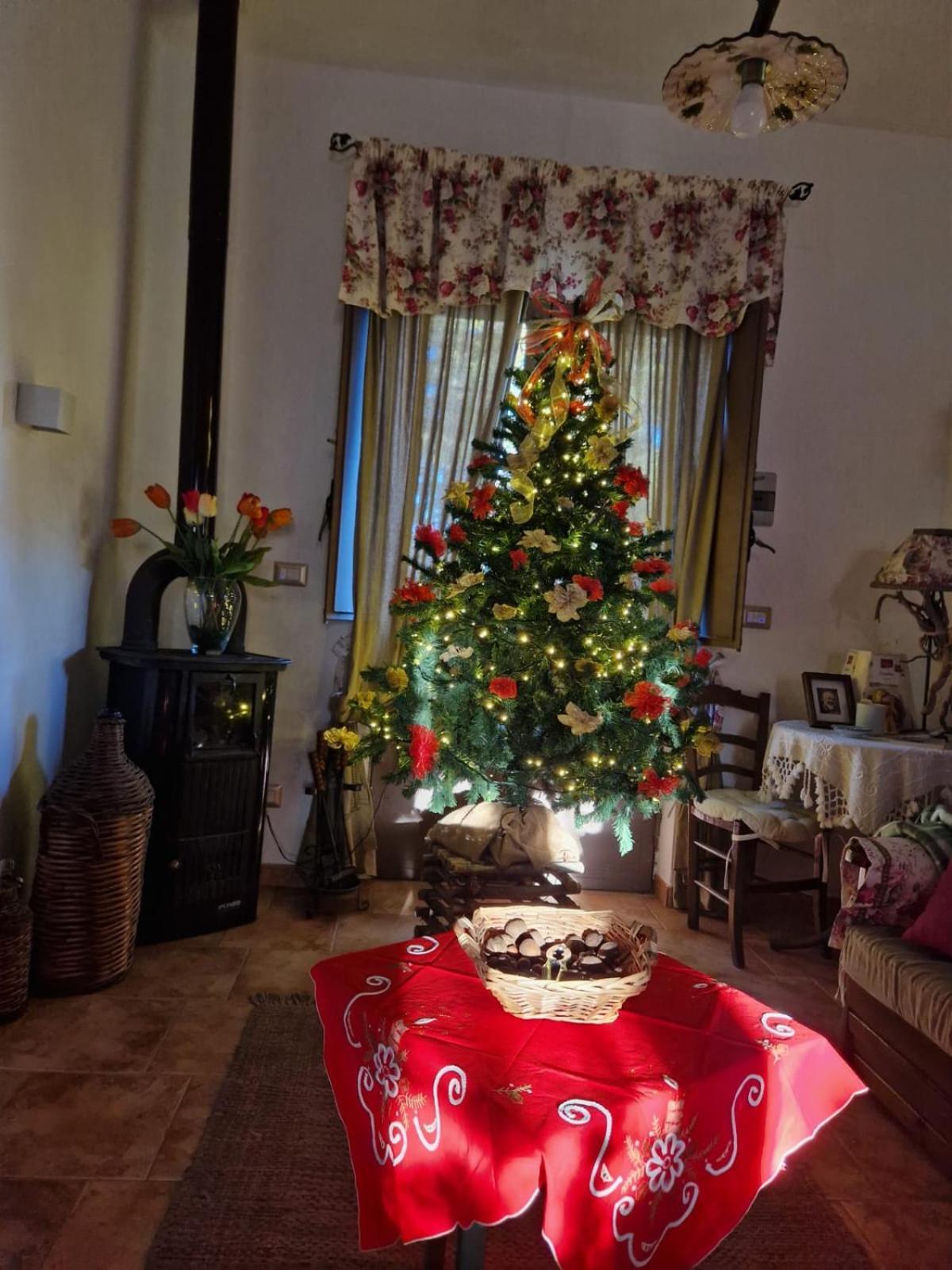 La Casa Di Giulia Villa Bronte Dış mekan fotoğraf